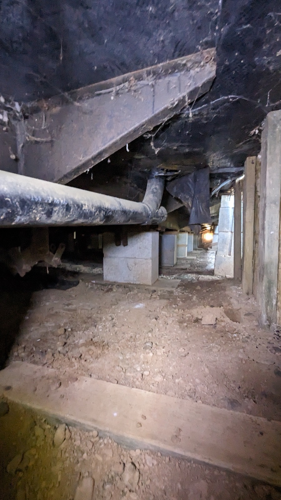 Topline Plumbing project photo 54