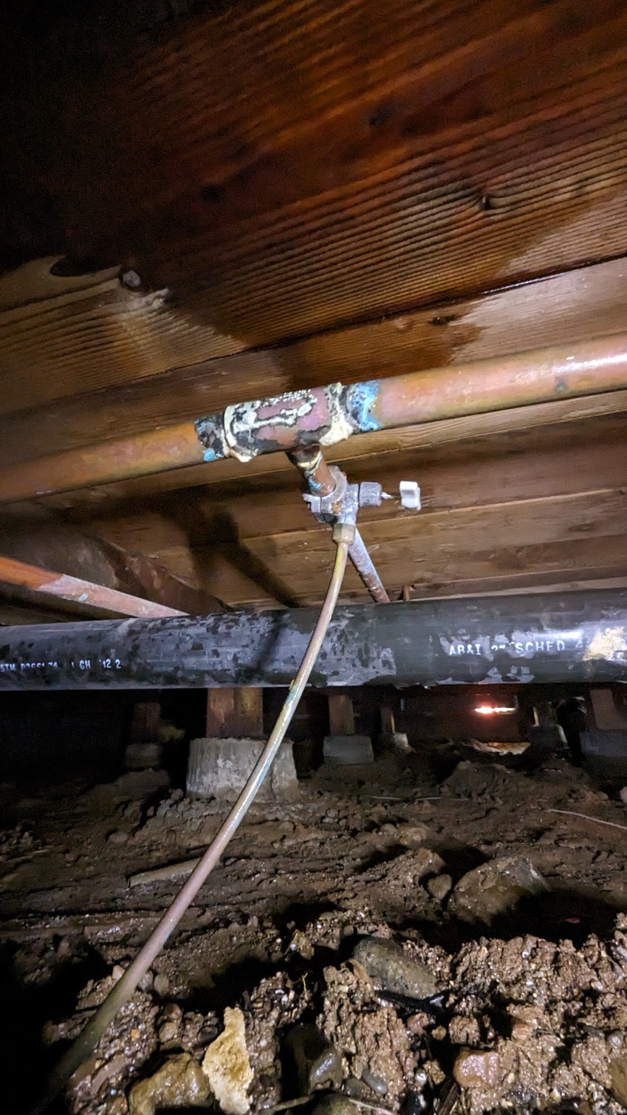 Topline Plumbing project photo 119